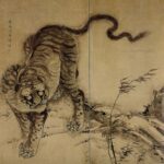 Soga shohaku tigre