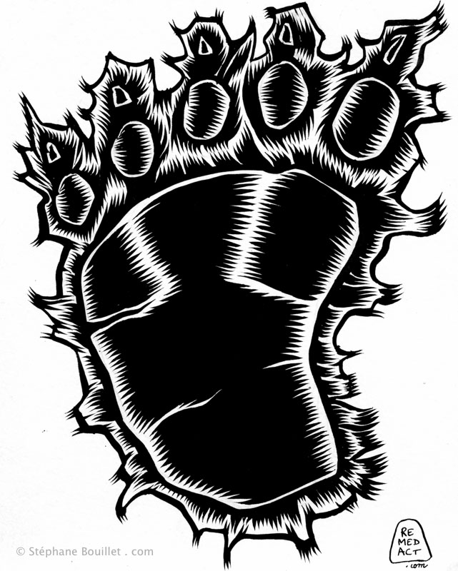 J256 /// BEAR FOOT ? OR BAREFOOT ?