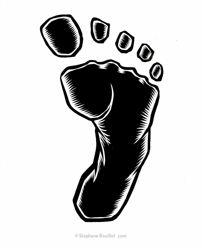 J256 /// BEAR FOOT ? OR BAREFOOT ?