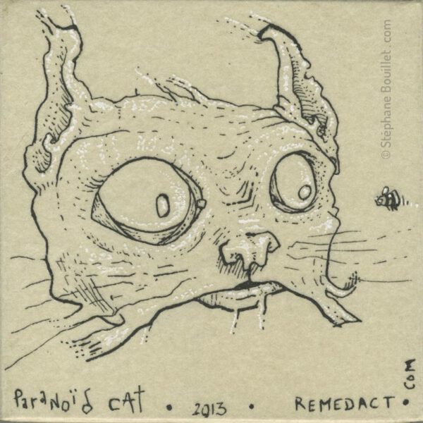 Paranoïd cat