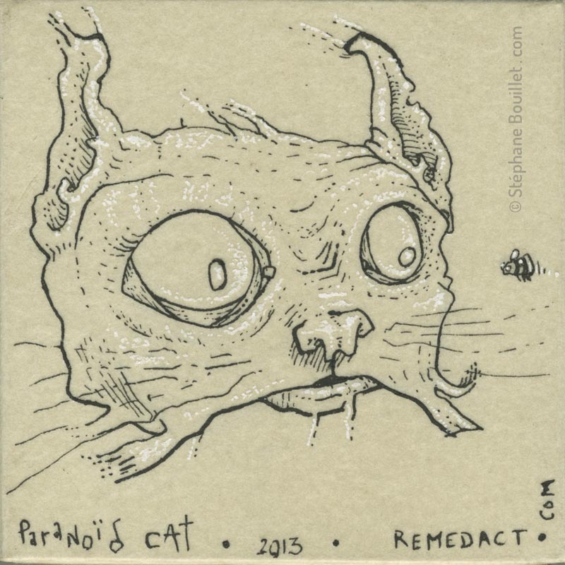 Paranoïd cat