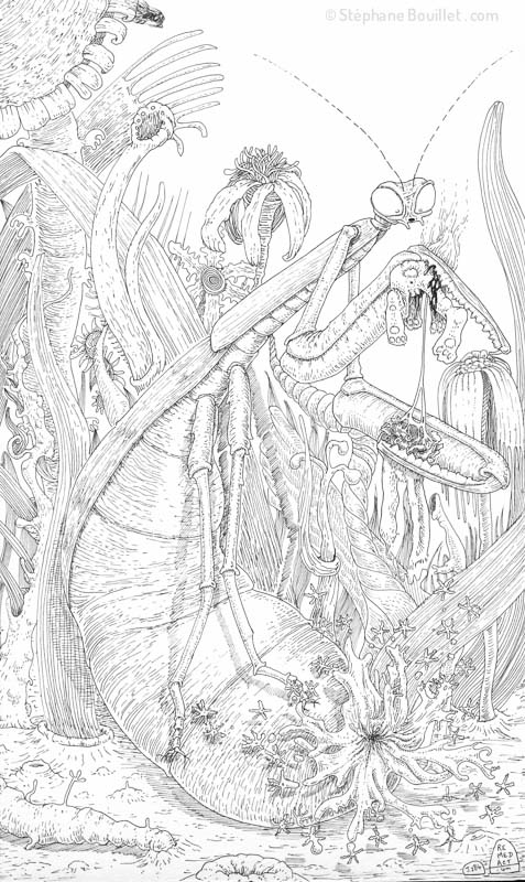 J284 /// Summer rabbit