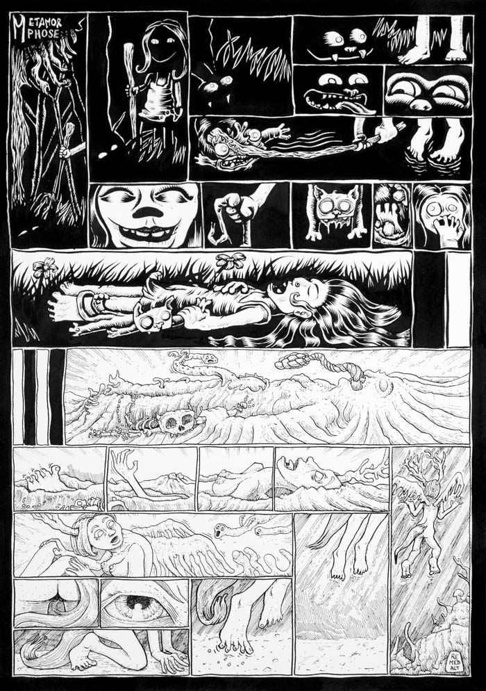 J346 /// Métamorphose