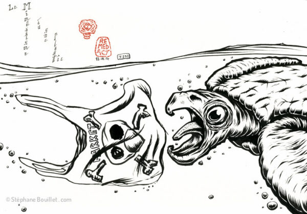 J292 /// LE MIMÉTISME DU SAC PLASTIQUE