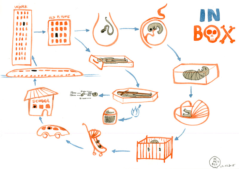 J324 /// PRIMATE IN BOX