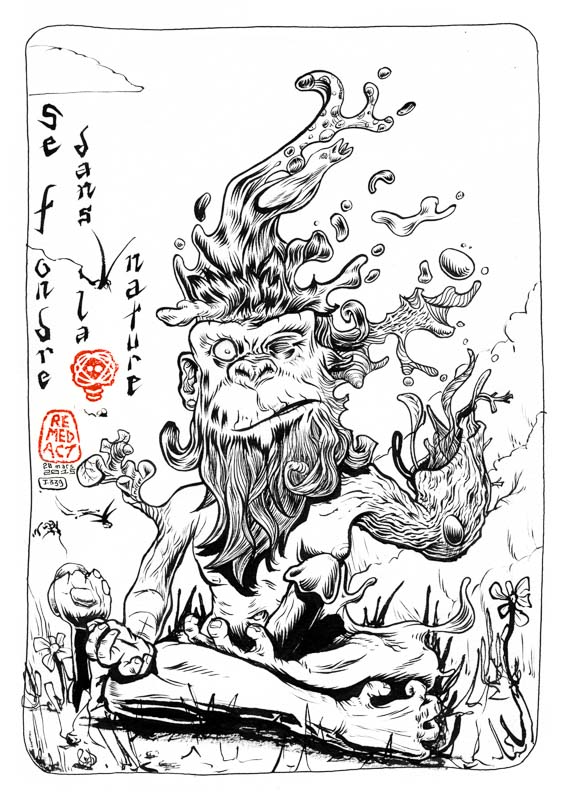 J339 /// Se fondre dans la nature