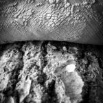 Photographie macro de pieds nus lors de barfooting en forêt humide