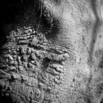 Photographie macro de pieds nus lors de barfooting en forêt humide
