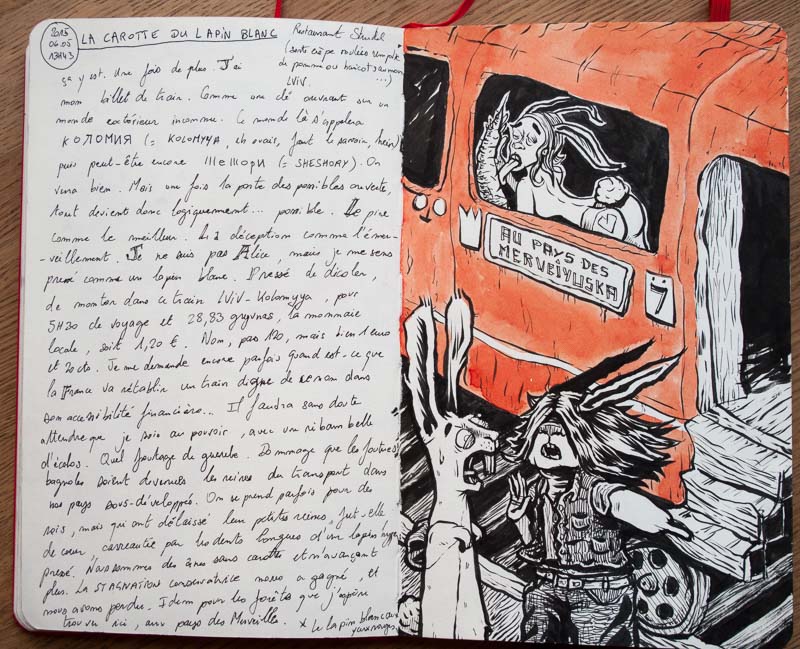 La carotte du lapin blanc