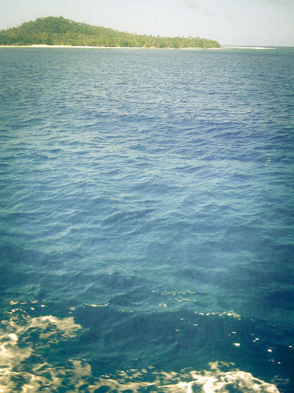 W img 0445 by remedact