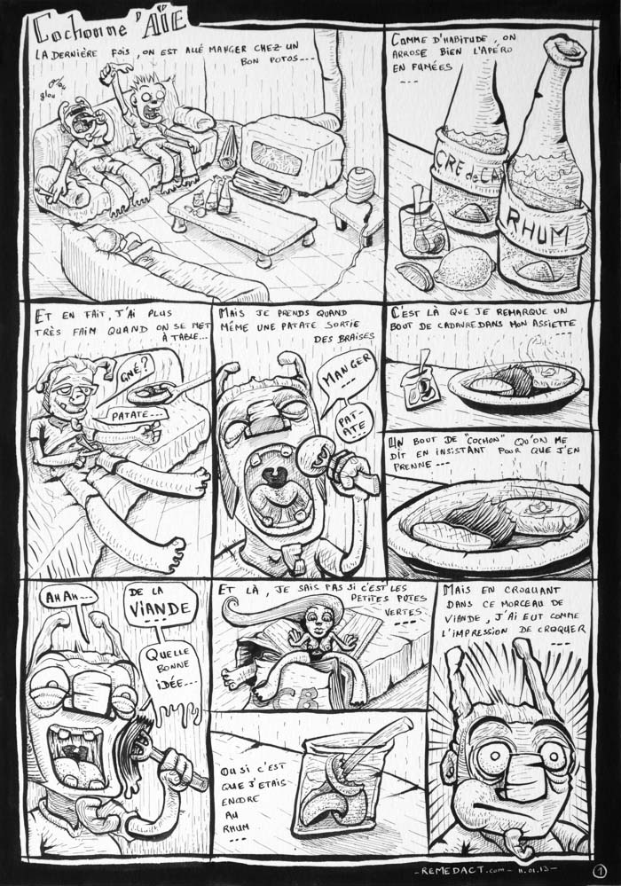 J108 /// COCHONNE AIE