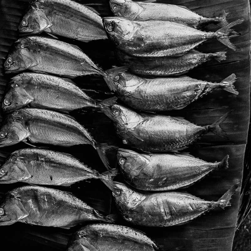 W thailande170 s by remedact