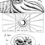 Foolpool : un poulpe dans une piscine