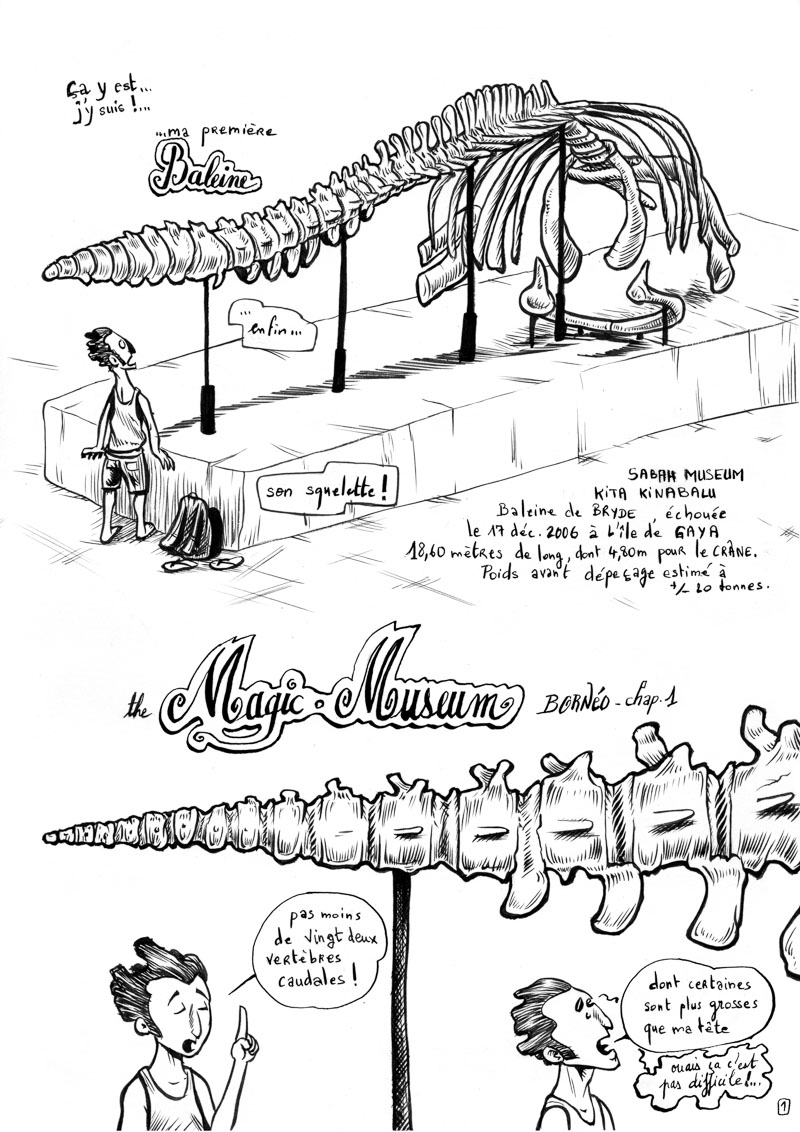 Magic museum – Borneo #1