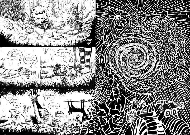 Tête de mort – Bornéo #2