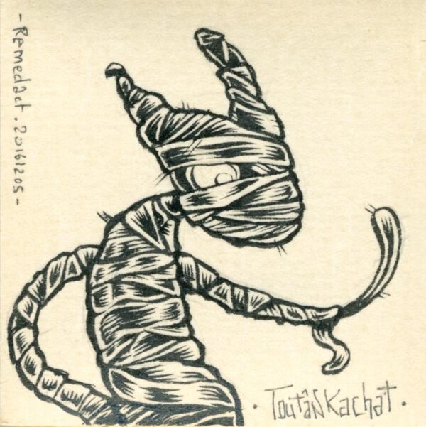 Chat momie Toutânkhacha #2