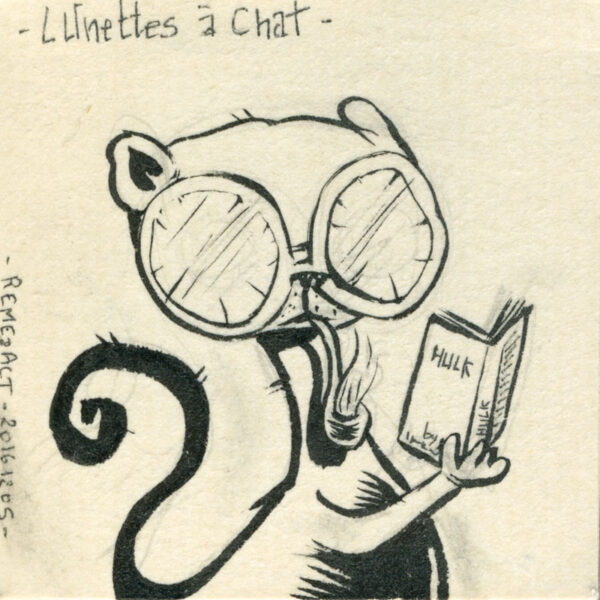Chat intellectuel