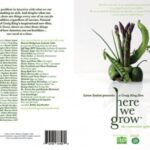 Here we grow movie