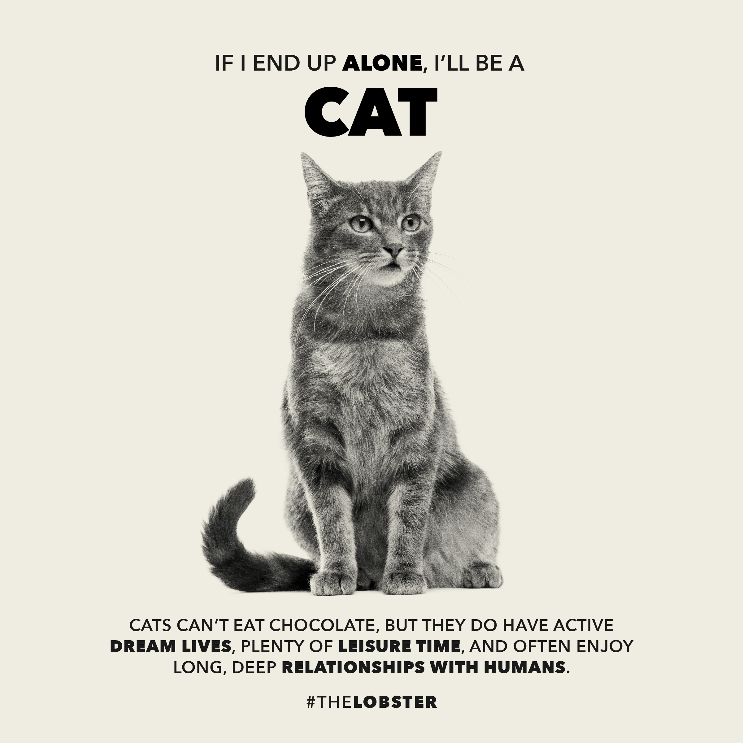 If I end up alone, I&rsquo;ll be a CAT