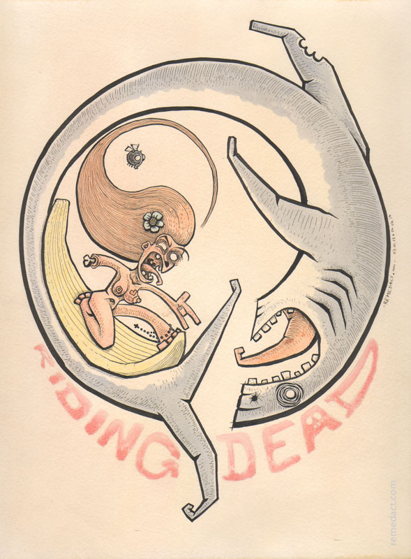 J105 /// Lili and shark #1