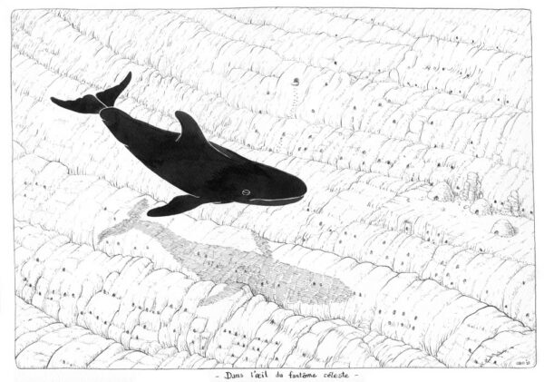 Dans l'oeil du fantôme céleste