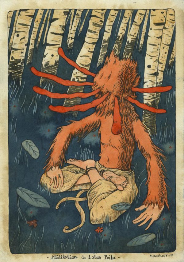 Méditation du lotus poilu