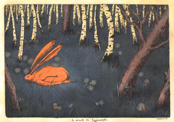 Le réveil du Lagomorphe