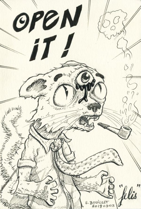 Le chat au troisième oeil