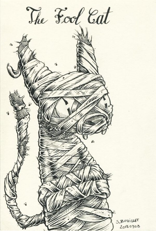 The fool cat mummy