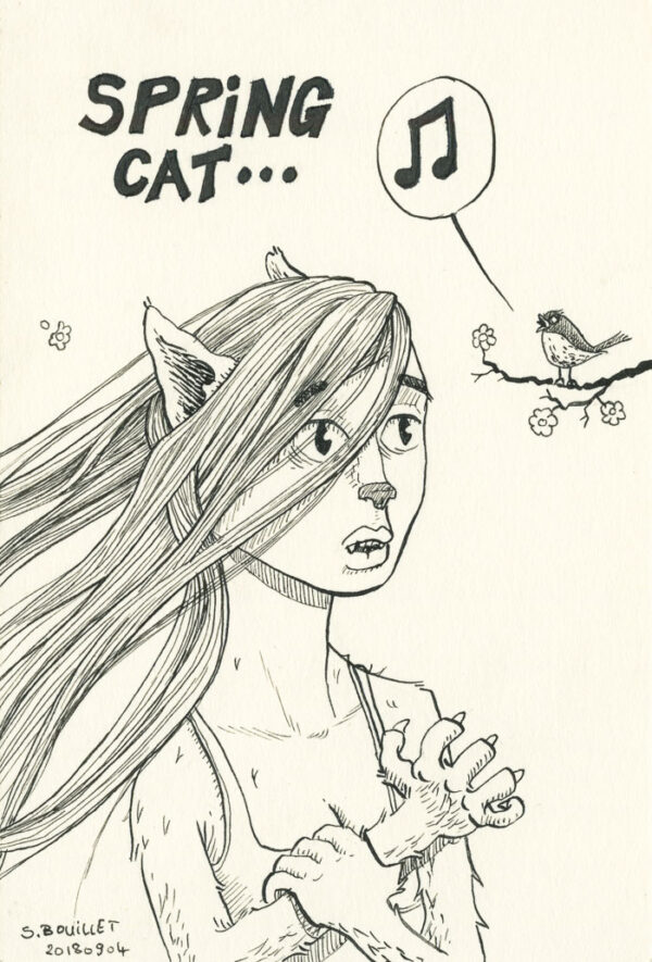 Spring cat