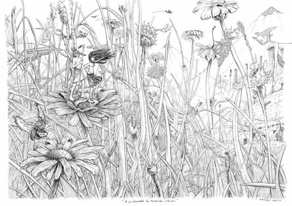 A la découverte des pyramides d'Anubis