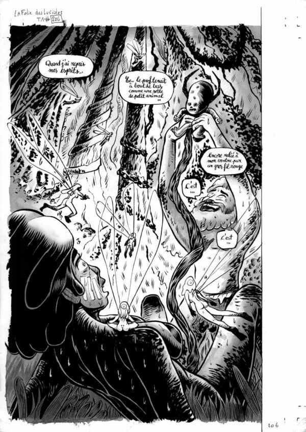 Naissance - La Jungle maudite