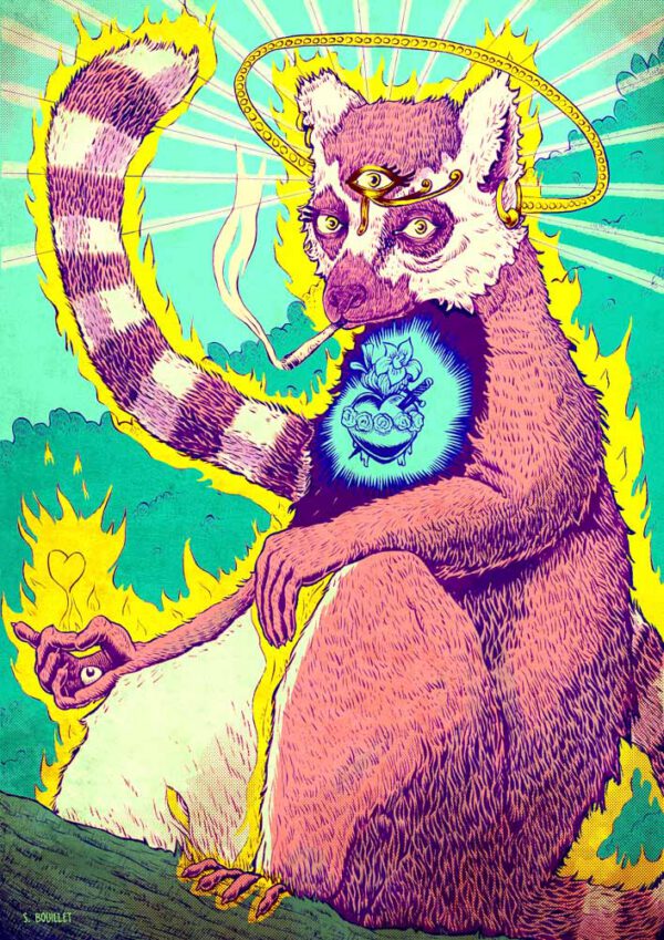 Maki catta au sacré cœur